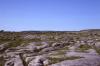 Burren - Rocks