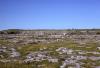 Burren - Rocks