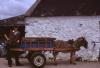 Connemara - Man with Donkey and Cart