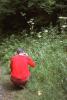 Dingle - A Person Photographing a Plant