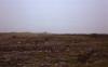 Burren - Stone Walls