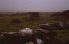 Burren - Dolmen