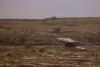 Burren - Dolmen