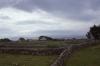 Connemara/Galway - Fields and Stone Walls