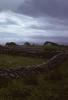 Connemara/Galway - Fields and Stone Walls