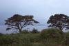 Killarney - Lakes