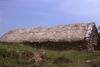 Houses and Castles - Old Thatched House