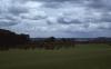 Dingle - Fields
