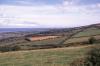 Along the Roadside - Fields and Sea