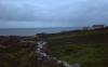 Connemara - Stone Walls and Sea