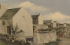 Gola Island