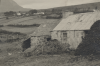 Muckish Mountain in the background.