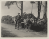Man and young boy with donkey cart.